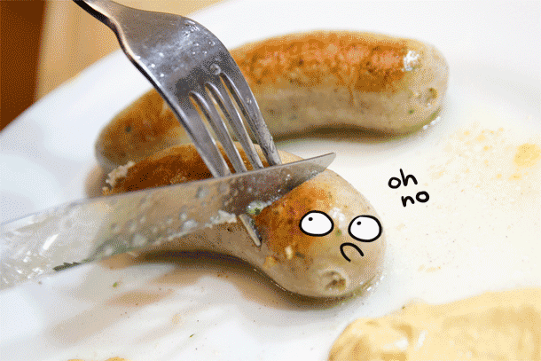 20131122-day-in-the-life-robyn-sausage.gif