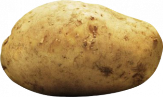 potato-slider.png